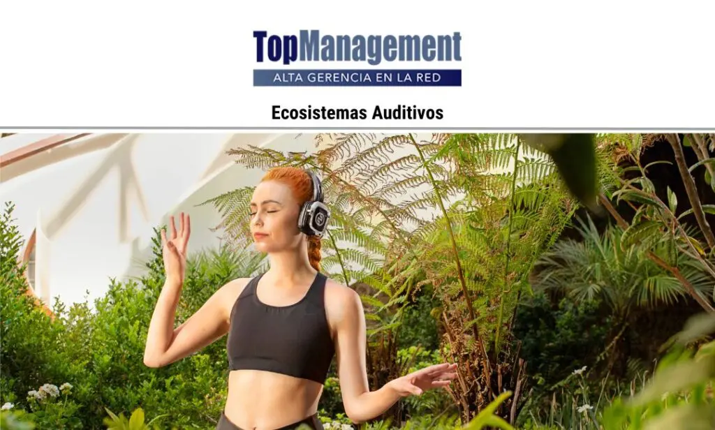 TopManagement – Ecosistemas Auditivos